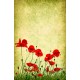 Gelincik Gergi Avize 140x100 Hayal Penceresi Hazır Gergi Tavan Gelincik Gergi Avize 140x100 Hayal Penceresi Hazır Gergi Tavan