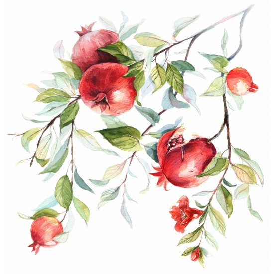 Nar Çizim Gergi Avize 80x68CM Hayal Penceresi Hazır Gergi Tavan Nar Çizim Gergi Avize 80x68CM Hayal Penceresi Hazır Gergi Tavan