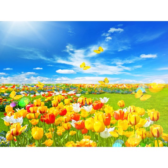 Laleli Gergi Avize 80x68CM Hayal Penceresi Hazır Gergi Tavan Laleli Gergi Avize 80x68CM Hayal Penceresi Hazır Gergi Tavan