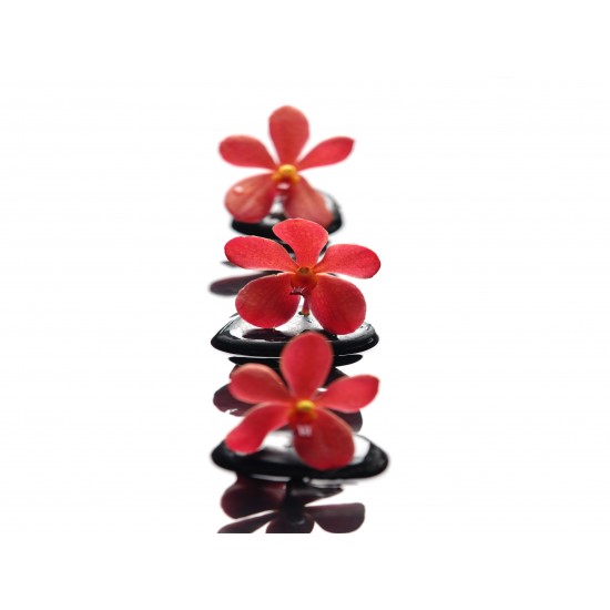 Yaşama Tutun Gergi Avize 109x80CM Hayal Penceresi Hazır Gergi Tavan Yaşama Tutun Gergi Avize 109x80CM Hayal Penceresi Hazır Gergi Tavan