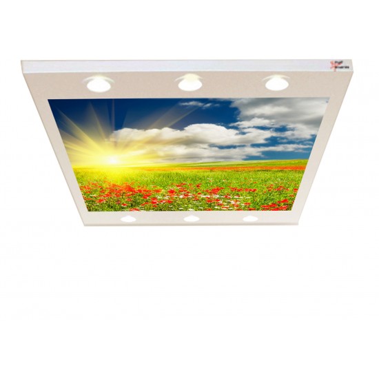 Gelincikler Gergi Avize 140x100 Hayal Penceresi Hazır Gergi Tavan Gelincikler Gergi Avize 140x100 Hayal Penceresi Hazır Gergi Tavan