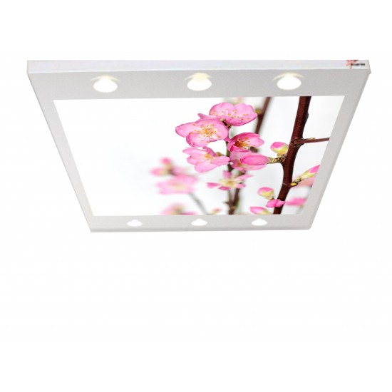 Açan Çiçekler Gergi Avize 140X100CM Hayal Penceresi Hazır Gergi Tavan Açan Çiçekler Gergi Avize 140X100CM Hayal Penceresi Hazır Gergi Tavan