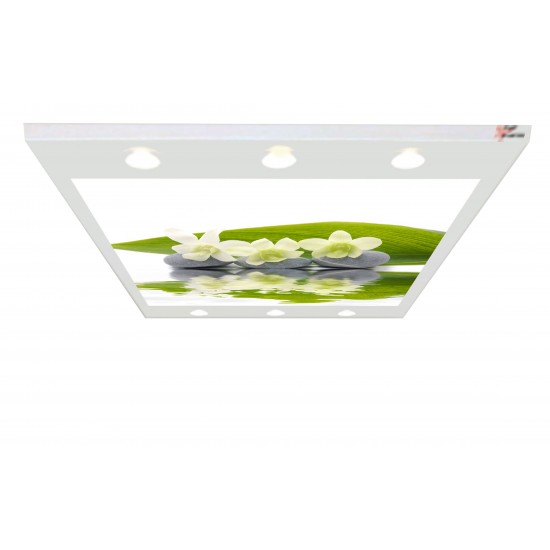 3 Taş 3 Çiçek Gergi Avize 140X100CM Hayal Penceresi Hazır Gergi Tavan 3 Taş 3 Çiçek Gergi Avize 140X100CM Hayal Penceresi Hazır Gergi Tavan