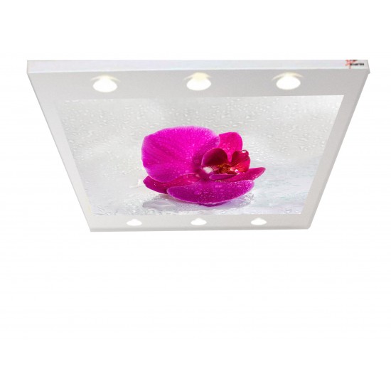 Çiçek Gergi Avize 140X100CM Hayal Penceresi Hazır Gergi Tavan Çiçek Gergi Avize 140X100CM Hayal Penceresi Hazır Gergi Tavan
