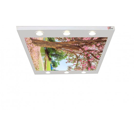 Ağaç Dibi Gergi Avize 140x100 Hayal Penceresi Hazır Gergi Tavan Ağaç Dibi Gergi Avize 140x100 Hayal Penceresi Hazır Gergi Tavan