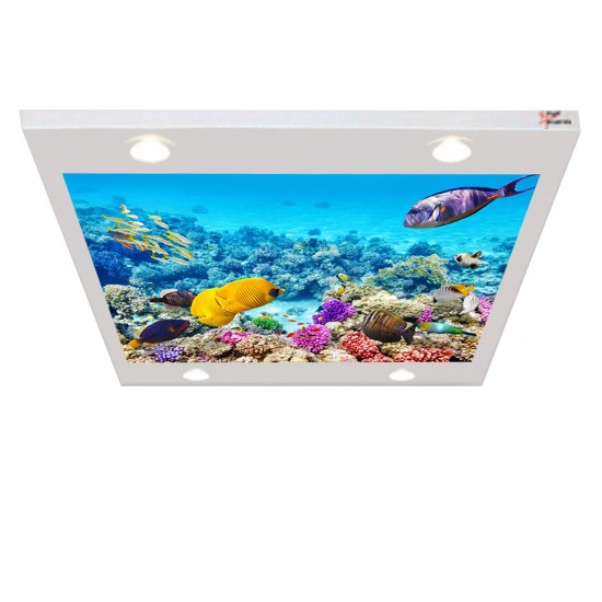 Okyanustan Akvaryum Gergi Avize 109x80 Hayal Penceresi Hazır Gergi Tavan Okyanustan Akvaryum Gergi Avize 109x80 Hayal Penceresi Hazır Gergi Tavan