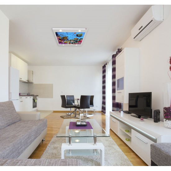 Renkli Balıklar ve Kaplumbağa Gergi Avize 109x80CM Hayal Penceresi Hazır Gergi Tavan Renkli Balıklar ve Kaplumbağa Gergi Avize 109x80CM Hayal Penceresi Hazır Gergi Tavan