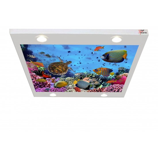 Renkli Balıklar ve Kaplumbağa Gergi Avize 109x80CM Hayal Penceresi Hazır Gergi Tavan Renkli Balıklar ve Kaplumbağa Gergi Avize 109x80CM Hayal Penceresi Hazır Gergi Tavan
