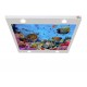 Renkli Balıklar ve Kaplumbağa Gergi Avize 109x80CM Hayal Penceresi Hazır Gergi Tavan Renkli Balıklar ve Kaplumbağa Gergi Avize 109x80CM Hayal Penceresi Hazır Gergi Tavan