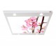 Açan Çiçekler Gergi Avize 109x80CM Hayal Penceresi Hazır Gergi Tavan Açan Çiçekler Gergi Avize 109x80CM Hayal Penceresi Hazır Gergi Tavan