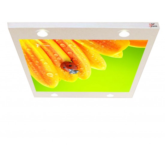 Uğu Böceği Gergi Avize 109x80CM Hayal Penceresi Hazır Gergi Tavan Uğu Böceği Gergi Avize 109x80CM Hayal Penceresi Hazır Gergi Tavan