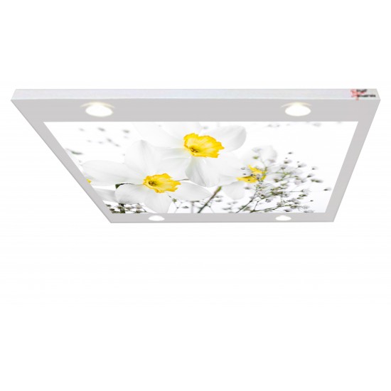 Çiçek Desenli Gergi Avize 109x80 Hayal Penceresi Hazır Gergi Tavan Çiçek Desenli Gergi Avize 109x80 Hayal Penceresi Hazır Gergi Tavan