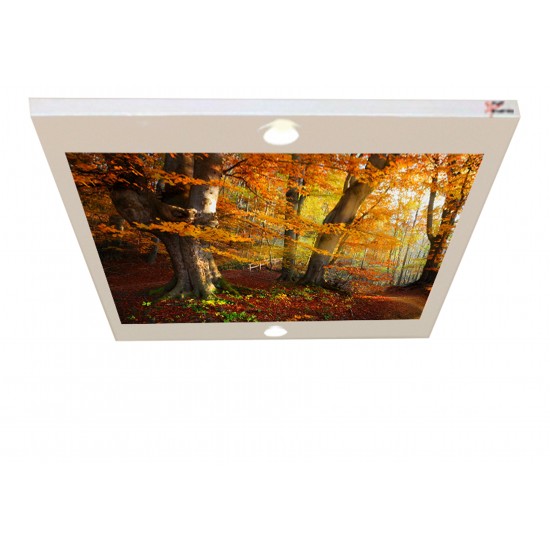 Yaşlı Ağaç Gergi Avize 80x68 Hayal Penceresi Hazır Gergi Tavan Yaşlı Ağaç Gergi Avize 80x68 Hayal Penceresi Hazır Gergi Tavan