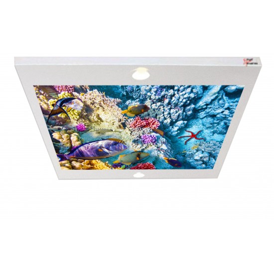 Balıklar Gergi Avize 80x68CM Hayal Penceresi Hazır Gergi Tavan Balıklar Gergi Avize 80x68CM Hayal Penceresi Hazır Gergi Tavan