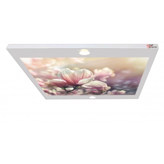 Çiçek Gergi Avize 80x68CM Hayal Penceresi Hazır Gergi Tavan Çiçek Gergi Avize 80x68CM Hayal Penceresi Hazır Gergi Tavan