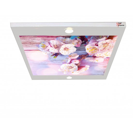 Arı Çiçeği Gergi Avize 80x68CM Hayal Penceresi Hazır Gergi Tavan Arı Çiçeği Gergi Avize 80x68CM Hayal Penceresi Hazır Gergi Tavan