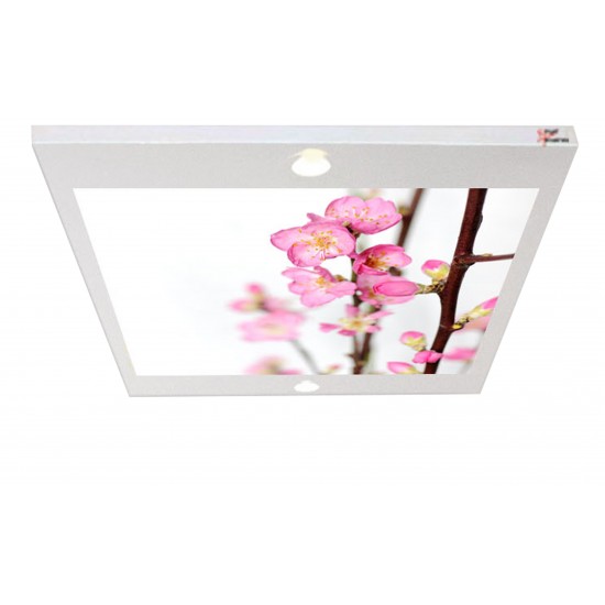 Açan Çiçekler Gergi Avize 80x68CM Hayal Penceresi Hazır Gergi Tavan Açan Çiçekler Gergi Avize 80x68CM Hayal Penceresi Hazır Gergi Tavan
