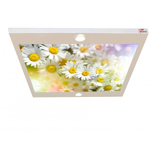 Papatyalar Gergi Avize 80x68CM Hayal Penceresi Hazır Gergi Tavan Papatyalar Gergi Avize 80x68CM Hayal Penceresi Hazır Gergi Tavan