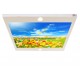 Laleli Gergi Avize 80x68CM Hayal Penceresi Hazır Gergi Tavan Laleli Gergi Avize 80x68CM Hayal Penceresi Hazır Gergi Tavan