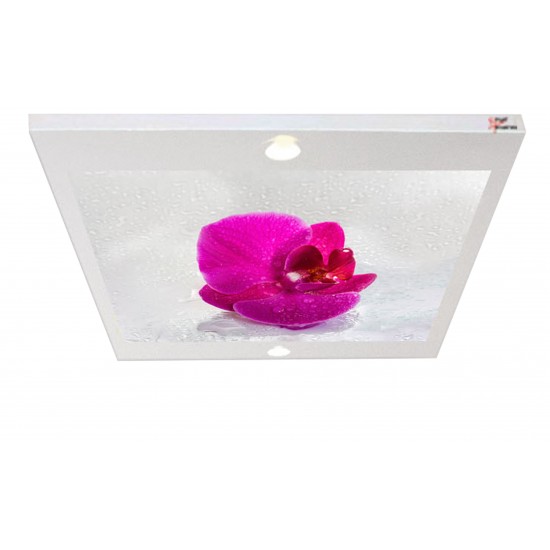 Çiçek Gergi Avize 80x68CM Hayal Penceresi Hazır Gergi Tavan Çiçek Gergi Avize 80x68CM Hayal Penceresi Hazır Gergi Tavan