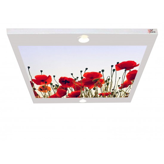 Çiçek Bahçesi Gergi Avize 80x68CM Hayal Penceresi Hazır Gergi Tavan Çiçek Bahçesi Gergi Avize 80x68CM Hayal Penceresi Hazır Gergi Tavan