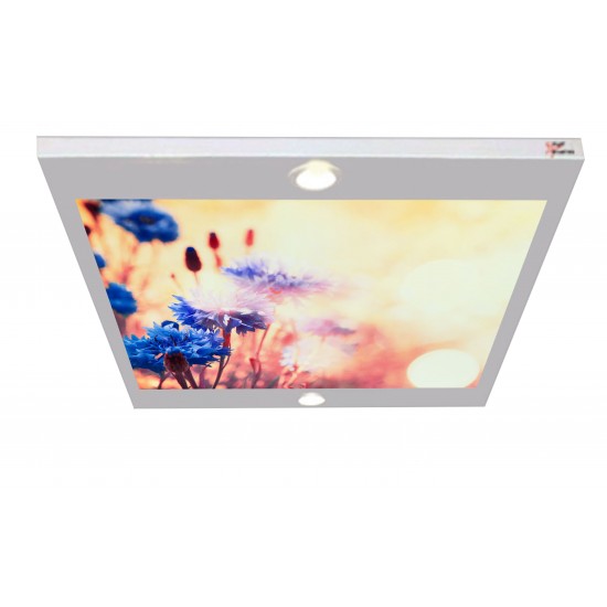 Mavi Çiçekler Gergi Avize 80x68 Hayal Penceresi Hazır Gergi Tavan Mavi Çiçekler Gergi Avize 80x68 Hayal Penceresi Hazır Gergi Tavan