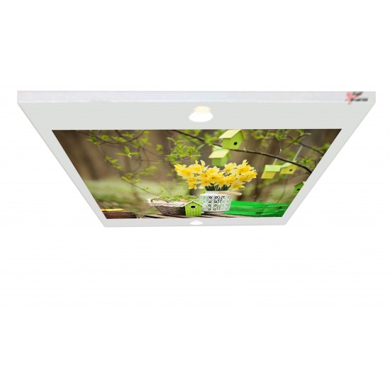 Kuş Evleri Gergi Avize 80x68 Hayal Penceresi Hazır Gergi Tavan Kuş Evleri Gergi Avize 80x68 Hayal Penceresi Hazır Gergi Tavan